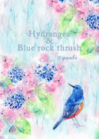 紫陽花の青い鳥
