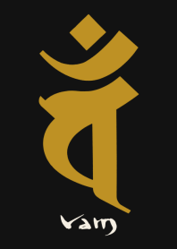 BONJI zodiac [vaM] BLACK GOLD (0871