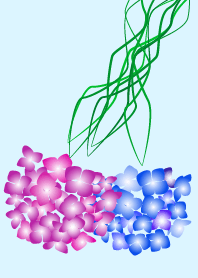 -Hydrangea