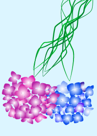 ≡紫陽花