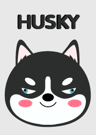 Simple Cute Siberian Husky Dog Theme