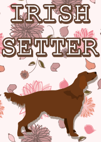 IRISH SETTER AND FLOWERS