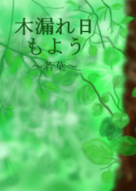 木漏れ日もよう～若葉～