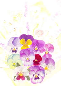 Viola ที่ โปร่งใส