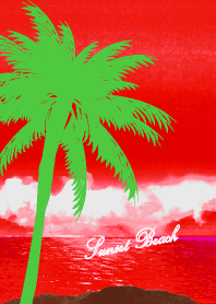 Summer Beach 507