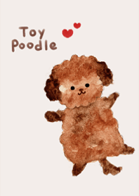 cute love toy poodle1.