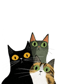 喵星人緊盯著你看！