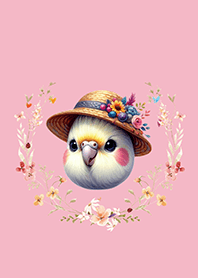 プリンセス風オカメインコ