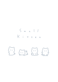 small kitten-blue gray white