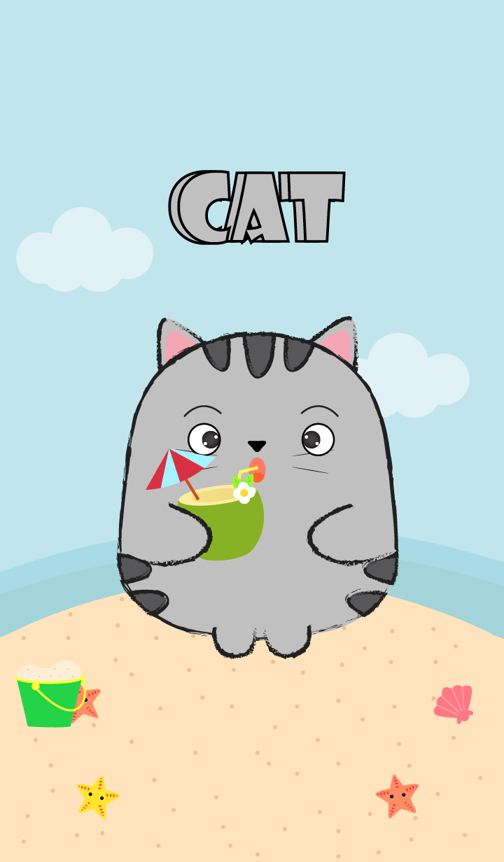 Summer Fat Gray Cat theme