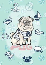 Pug refreshing marine.