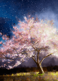 Beautiful night cherry blossoms#105