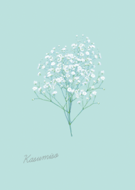 kasumiso