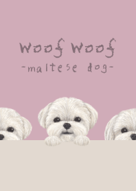 マルチーズ - ダスティローズピンク