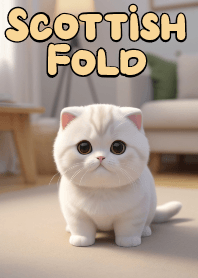 Innocent Scottish Fold Cat VOL.6