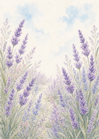 浪漫水彩花園｜薰衣草篇