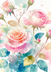 Beautiful rose flower(R4699)