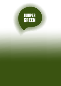 White & Juniper Green Theme Vr7 (JP)