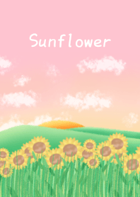 Sunflower is