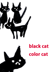 black cat color cat