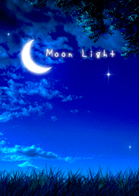 The moon light 月明かり