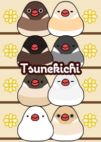 Tsunekichi Round and cute Java sparrow