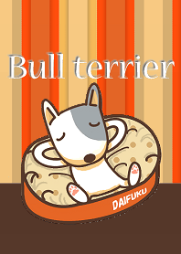 Bull terrier (DAIFUKU)