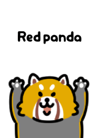 Cute red panda Theme