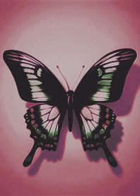 Simple beauty spread wings butterfly 18