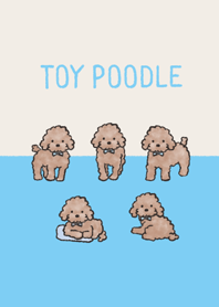 Doodle red toy poodle