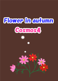 秋の花(コスモス4)