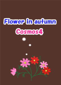 Flower in autumn(Cosmos4)