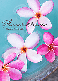 Plumeria a tropical mood