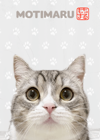 もち様の着せ替え