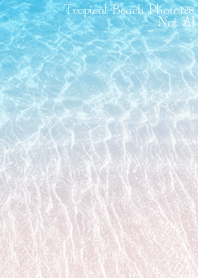 TropicalBeach Photo128 Not AI