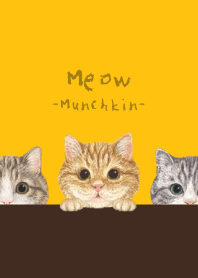 Meow - Munchkin - SUNFLOWER