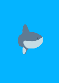 theme of a sunfish