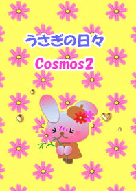 うさぎの日々(コスモス2)