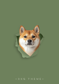 DOG - Shiba Inu 01 - Pine needle