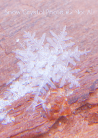 Snow Crystal Photo #9-22Not AI