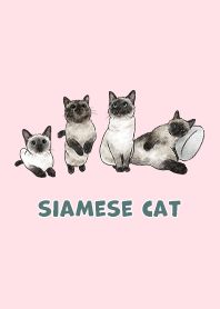 siamesecats3 - pink