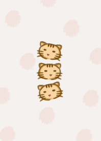 cute cat !!
