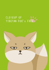 CLOSEUP OF TIBETAN FOX's FACE/LEAF GREEN