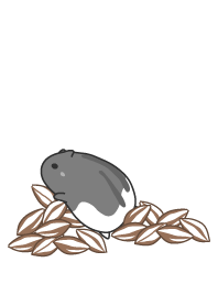 mouse staring - 3