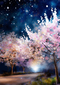 Beautiful night cherry blossoms#1077