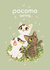 pocomo spring 2021 Modified version