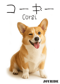 Corgi : 1_3