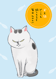 犬と猫（猫さまver.）