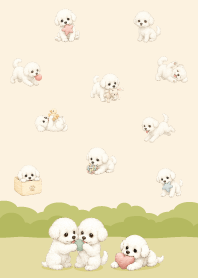 可愛快樂比熊犬-10