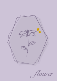 ดอกไม้ <ดาว> ลาเวนเดอร์สีม่วง